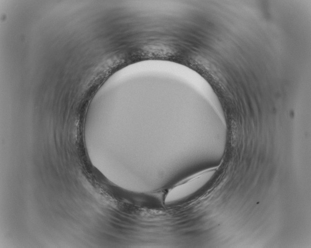 X0000088210451200706121809