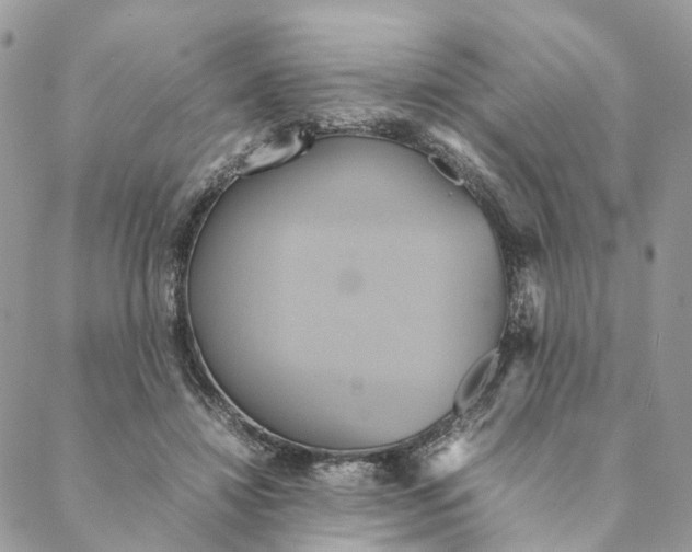 X0000088210452200706121809