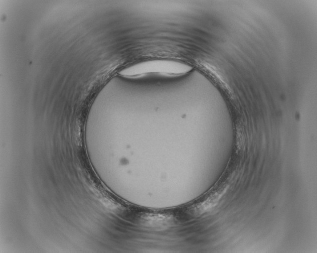 X0000088210453200706121809