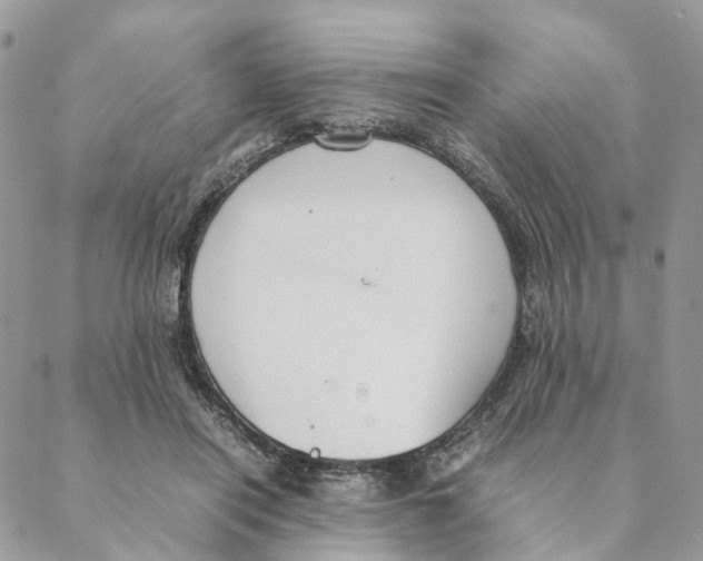 X0000088210454200706121809