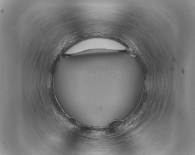 X0000088210458200706121809