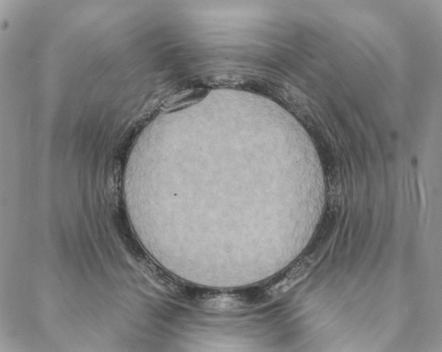 X0000088210460200706121809