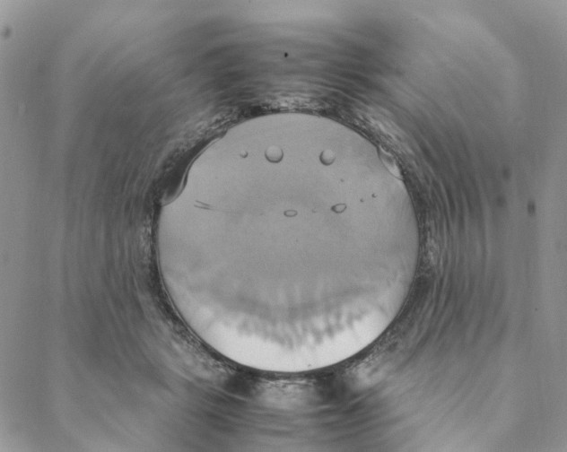 X0000088210461200706121809