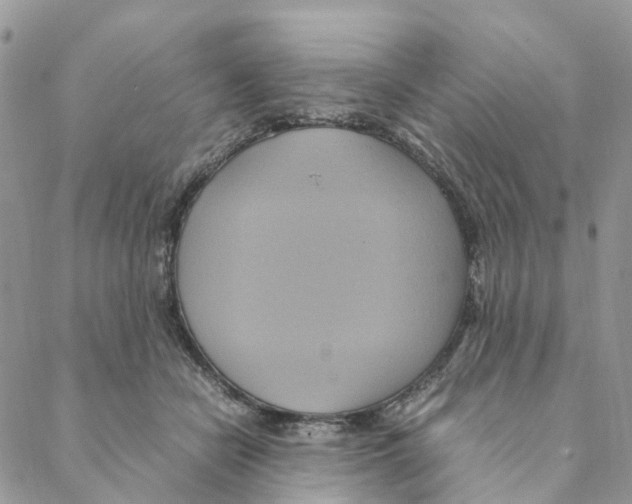 X0000088210462200706121809