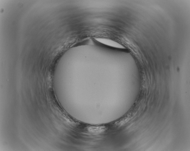 X0000088210465200706121810