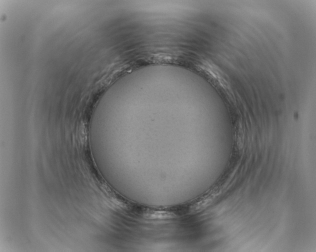 X0000088210467200706121810