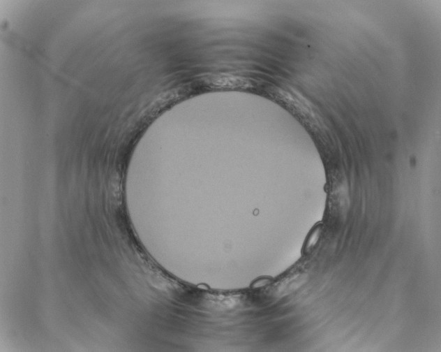 X0000088210469200706121810