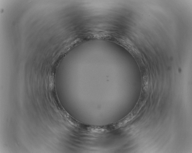 X0000088210471200706121810