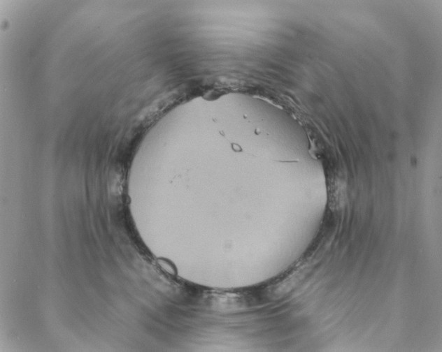 X0000088210472200706121810