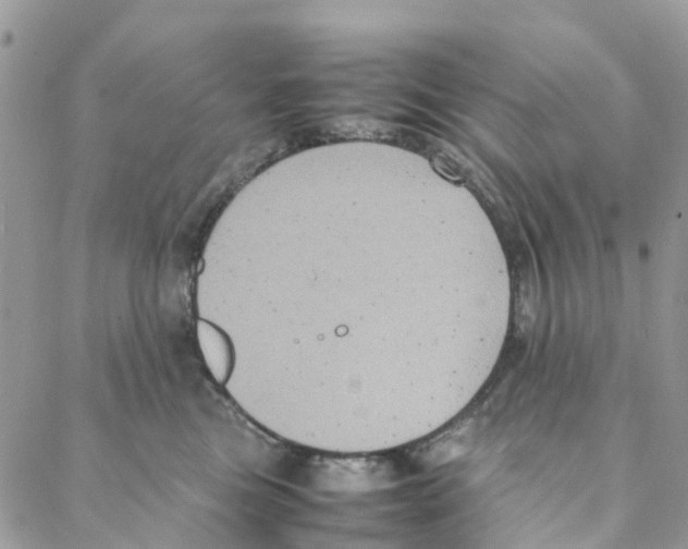 X0000088210473200706121810