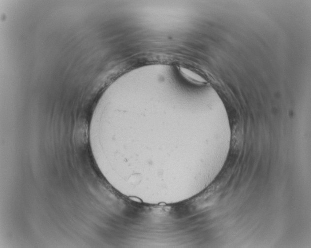 X0000088210474200706121810