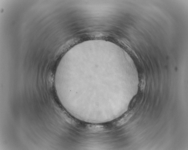 X0000088210476200706121810