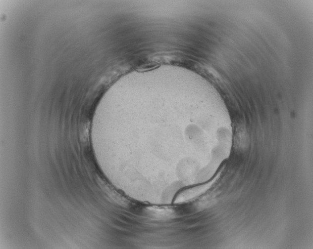 X0000088210477200706121810