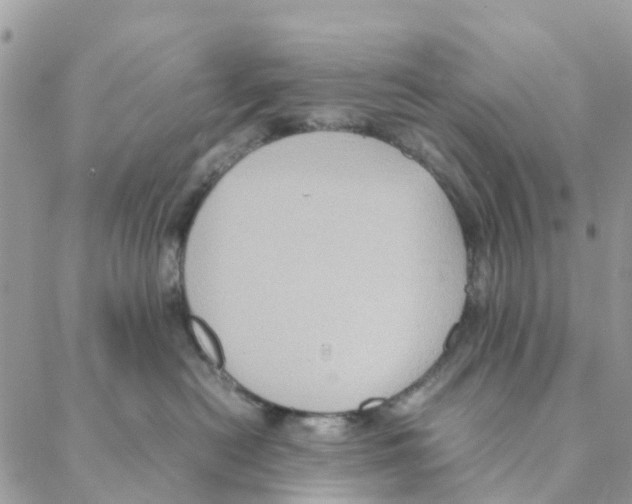 X0000088210478200706121810