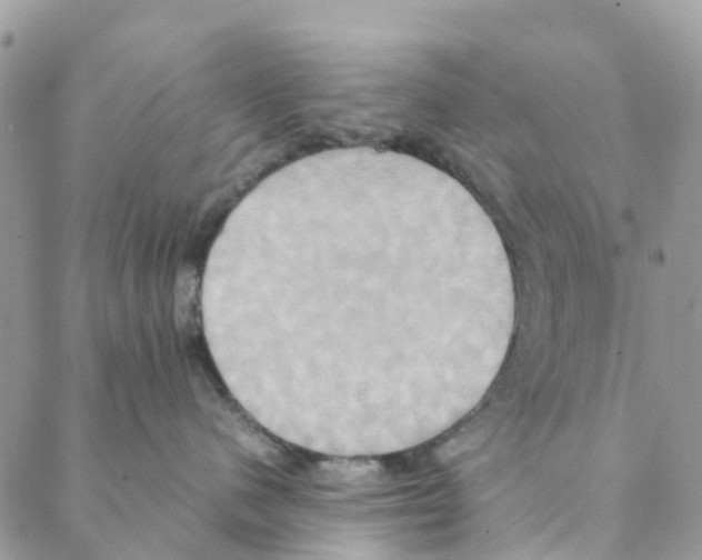 X0000088210480200706121810