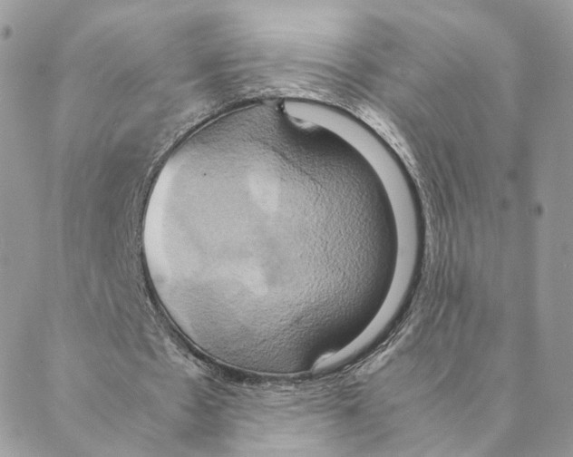 X0000088210481200706121809