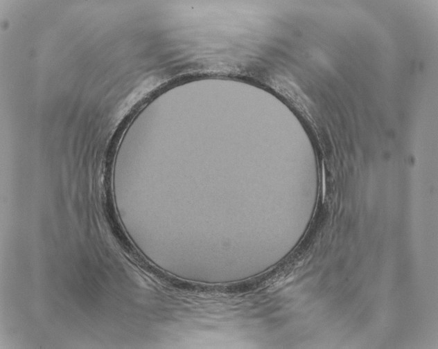 X0000088210483200706121809