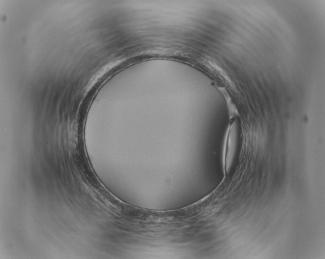 X0000088210484200706121809