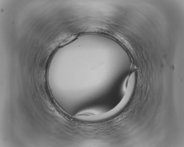 X0000088210485200706121809