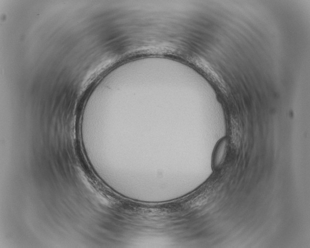 X0000088210486200706121809