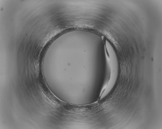 X0000088210488200706121809