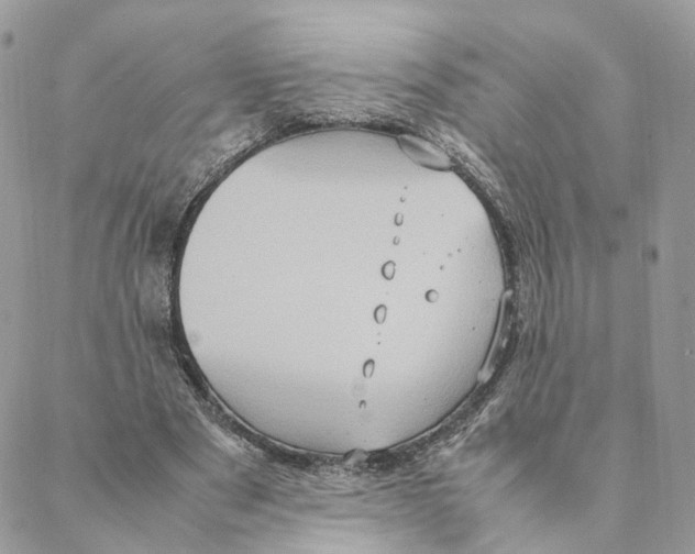 X0000088210489200706121809