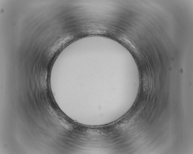 X0000088210490200706121809