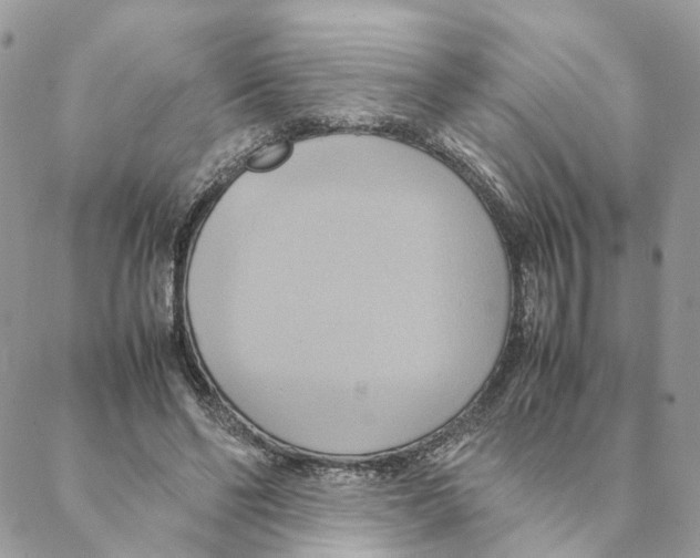 X0000088210494200706121809