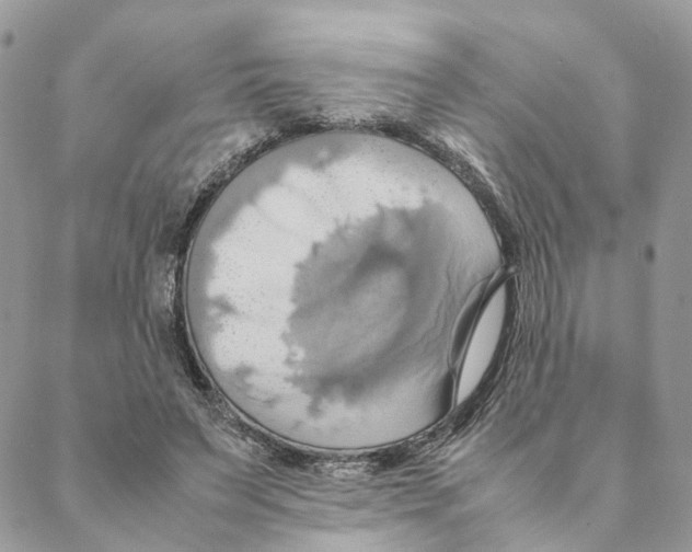 X0000088210495200706121809