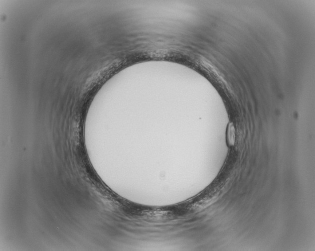 X0000088210497200706121809