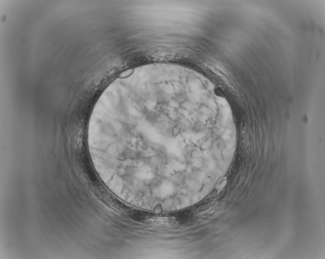 X0000088210499200706121809