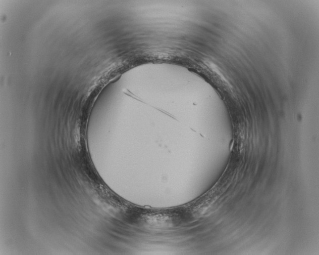 X0000088210500200706121809