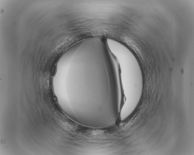 X0000088210501200706121809