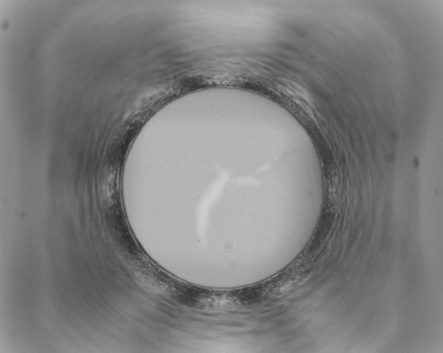 X0000088210503200706121809