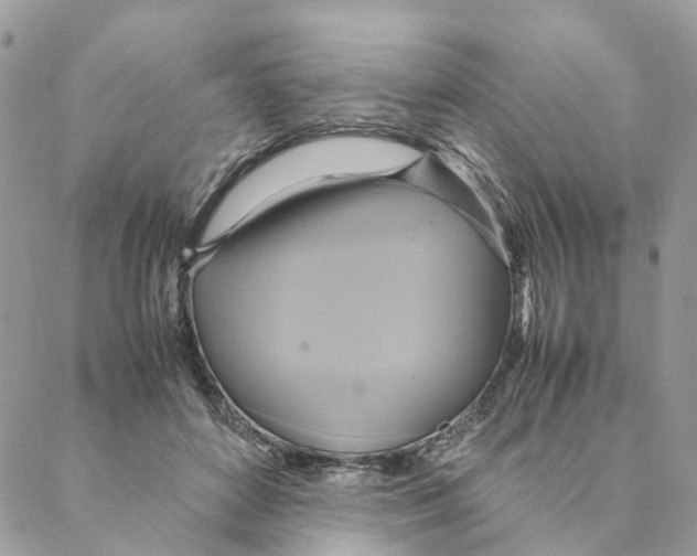 X0000088210504200706121809