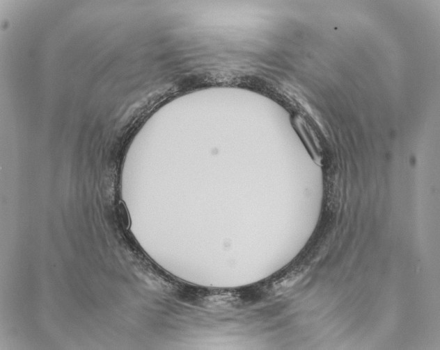 X0000088210505200706121809