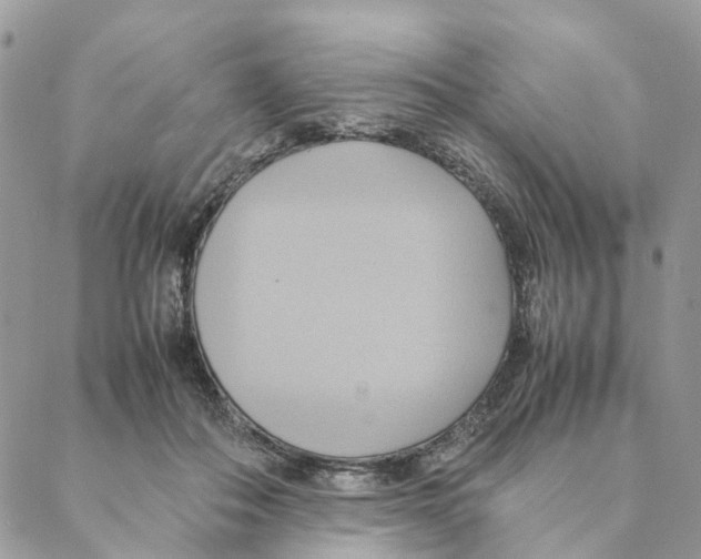 X0000088210506200706121809