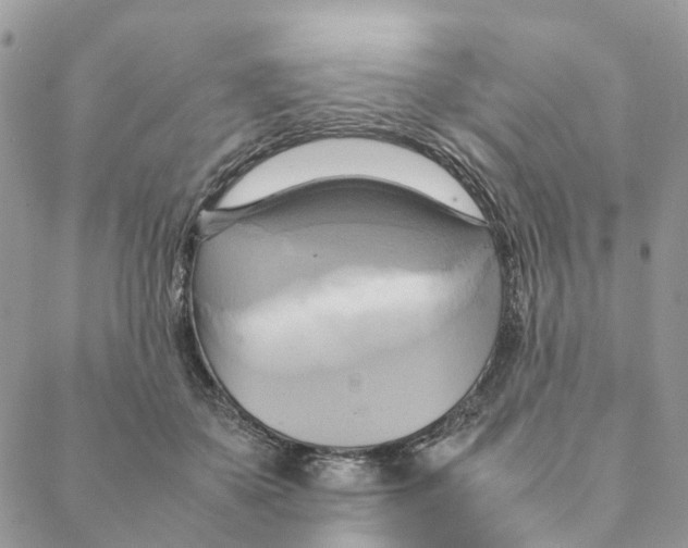 X0000088210507200706121809