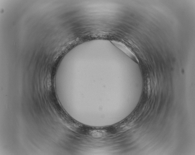 X0000088210508200706121809