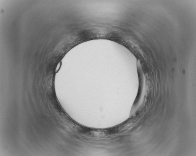 X0000088210509200706121809