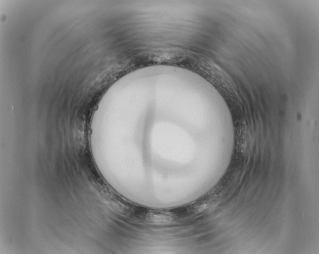 X0000088210510200706121809