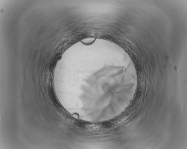 X0000088210511200706121809