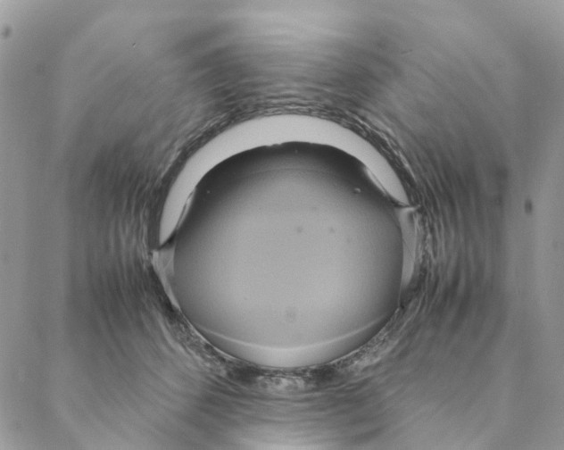 X0000088210512200706121809