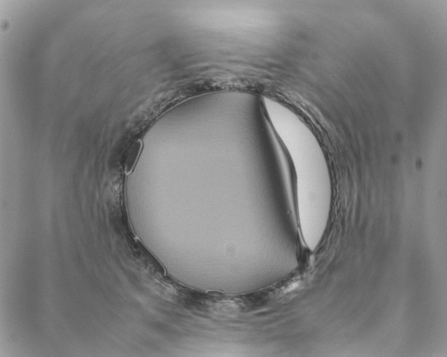 X0000088210513200706121808