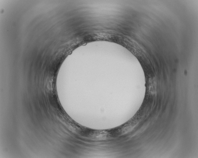 X0000088210514200706121808