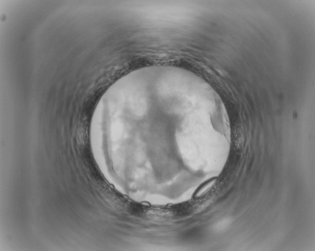 X0000088210515200706121808