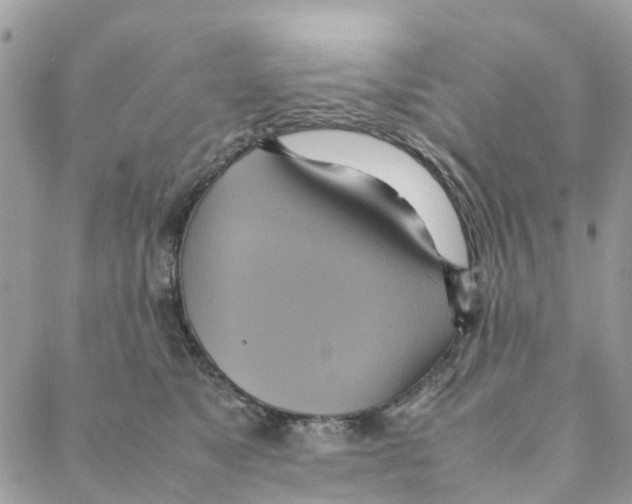 X0000088210517200706121808