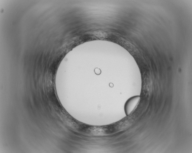 X0000088210518200706121808