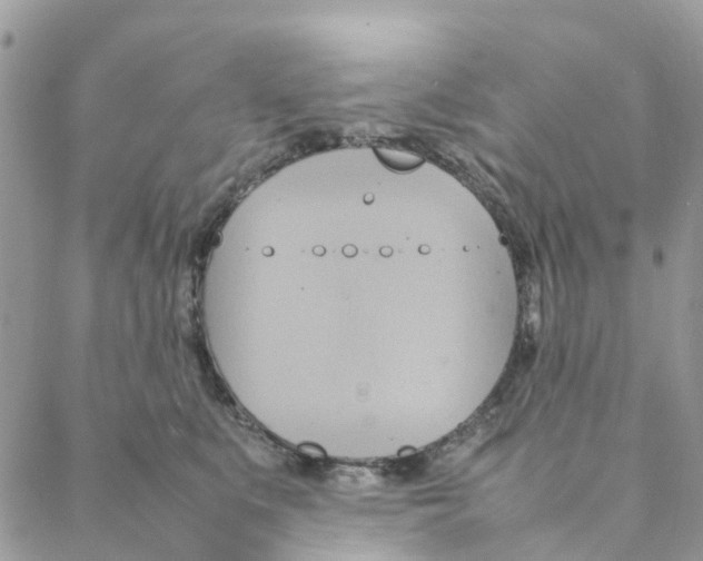 X0000088210519200706121808