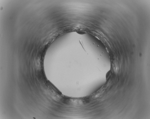 X0000088210520200706121808